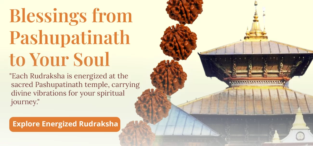 how to choose rudraksha