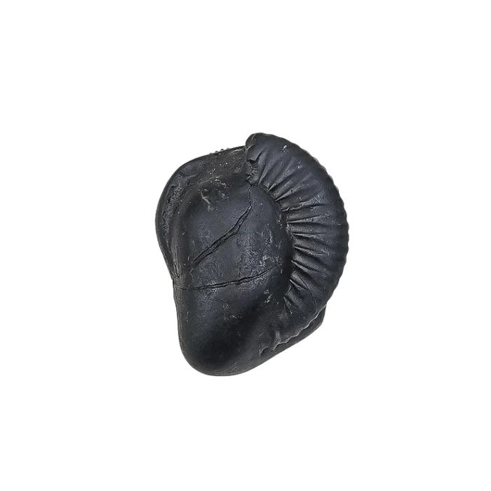 Narasimha Shaligram