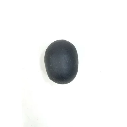 Gopal Shaligram