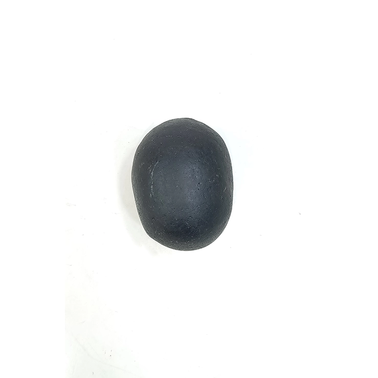 Gopal Shaligram
