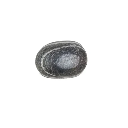 Janeu Shaligram