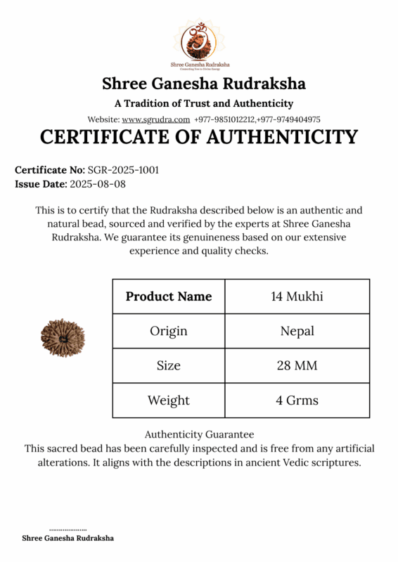 Shree Ganesha RUdraksha authentic rudraksha